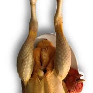 Frango Campo