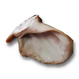Ouvidos