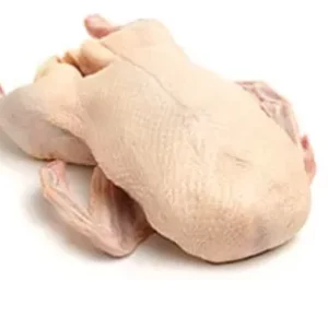 Pato Cong.